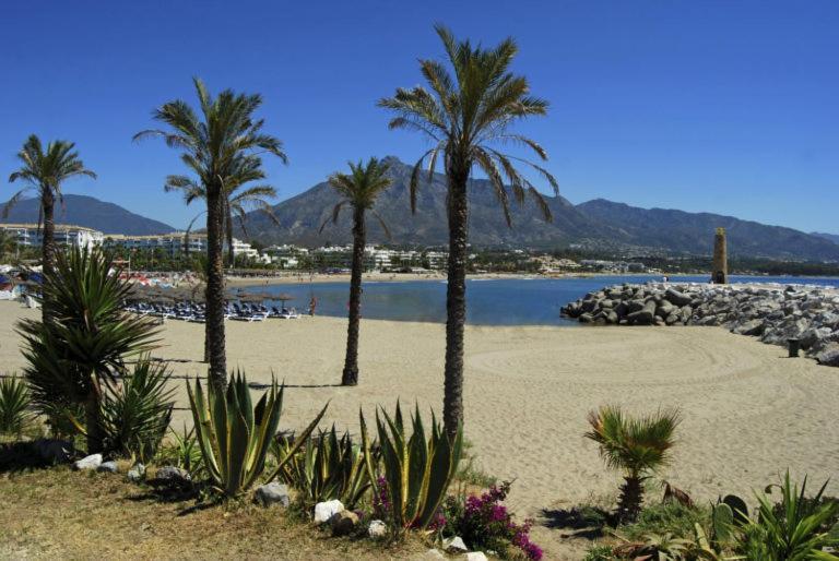 Renovado Apartamento 1 Dormitorio,Centro Marbella. Marbelsun Екстериор снимка
